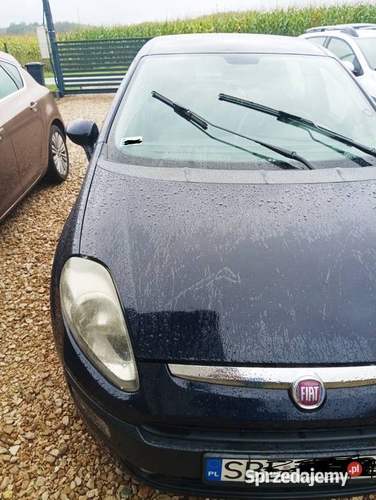 Fiat Punto Evo Chełm Śląski