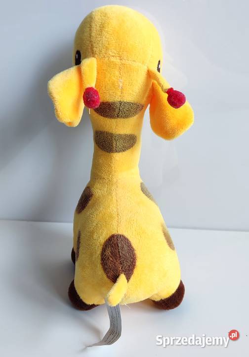 Żyrafa Antosia Axiom