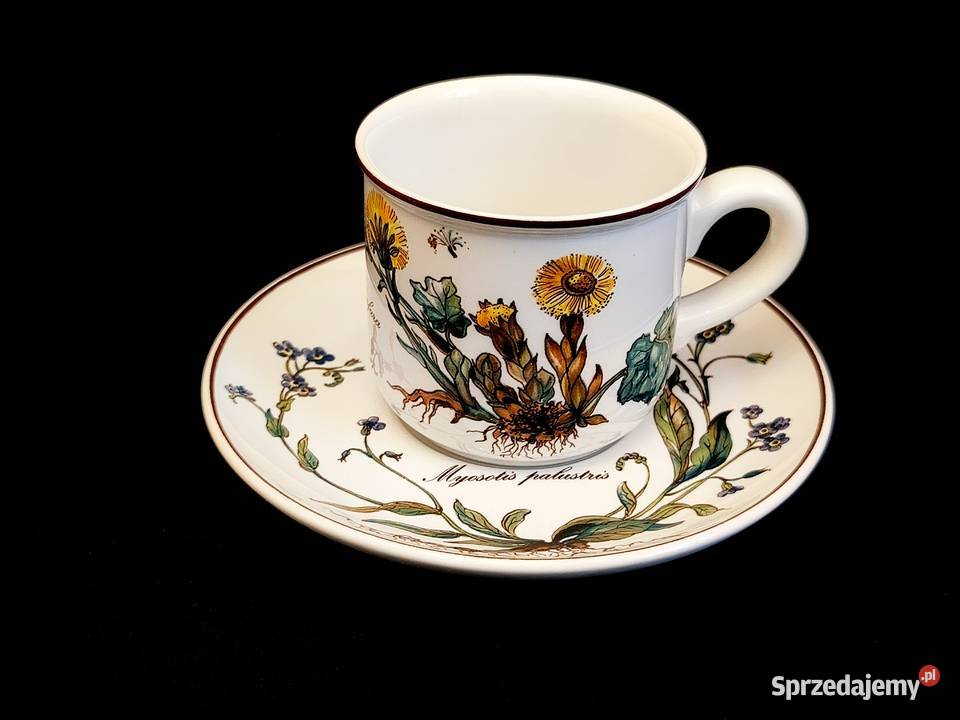 Zestaw kawowy Villeroy Boch Botanica Porcelana i szkło lubelskie Chełm