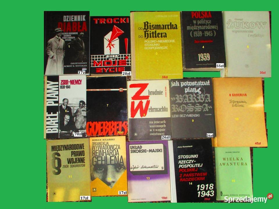 Polska w polityce międzynarodowej Książki naukowe i popularnonaukowe Łódź