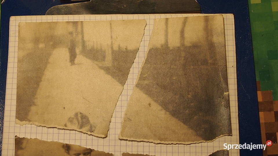 Fotografia dziecko na trójkołowym rowerku czasy