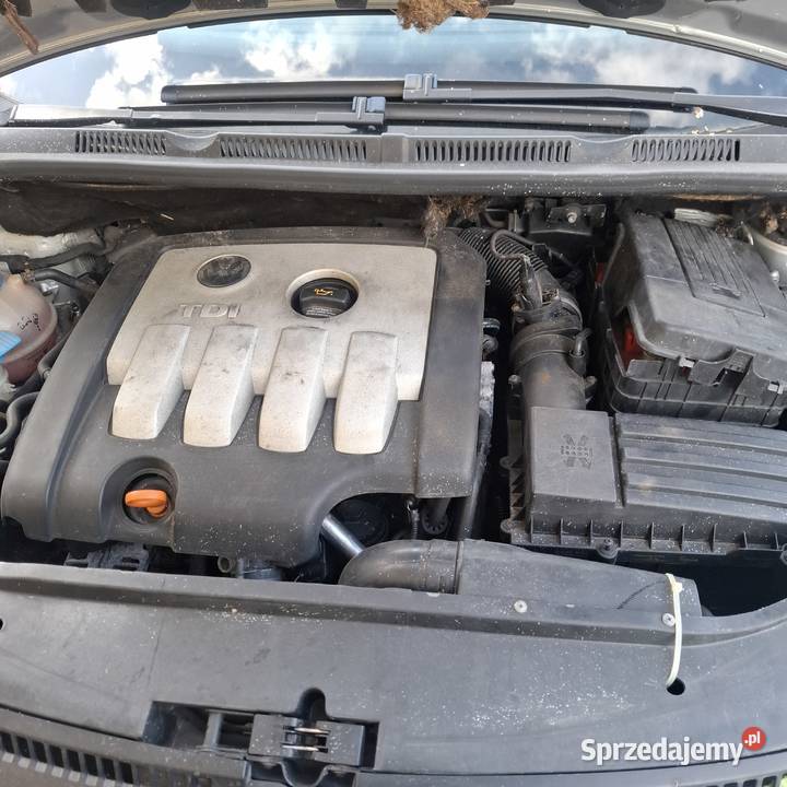 Vw Golf 5 Plus 20 TDI 2005 R Żnin