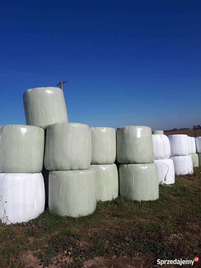 Bele sianokiszonki podlaskie Tajno Stare