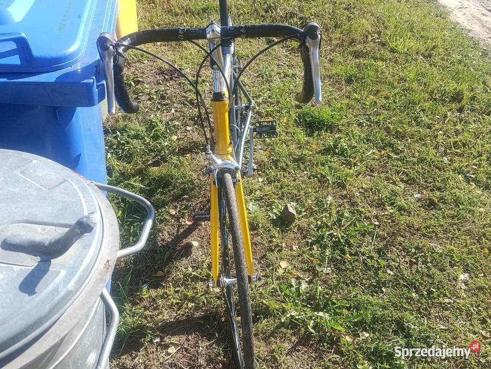 Kolarzuwka Korsarska Świecie nad Osą