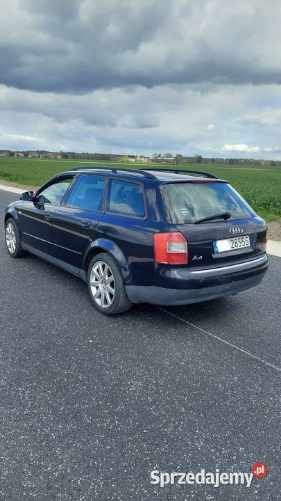 Audi a4 b6 19 tdi 130 nieuszkodzony wielkopolskie