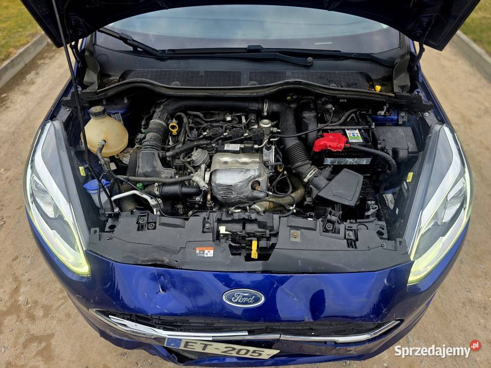 Fiesta 10 100 Navi czujnik parkowania Fiesta Turek