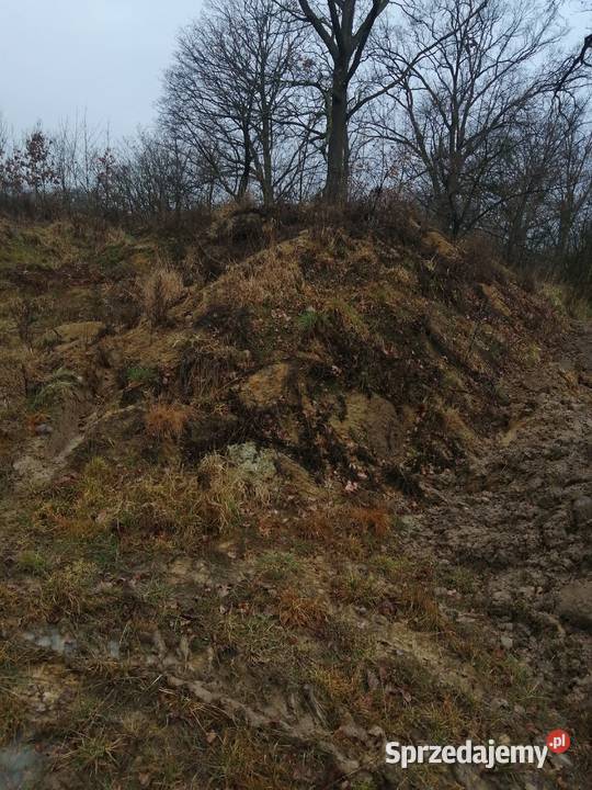 Odam ziemie glina Wołów sprzedam
