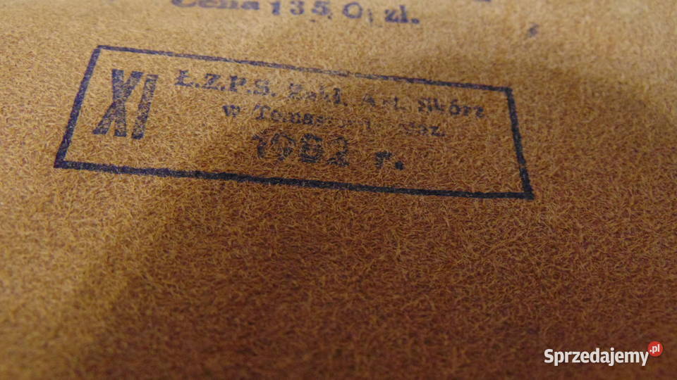 Raportówkamapnik z 9152 roku