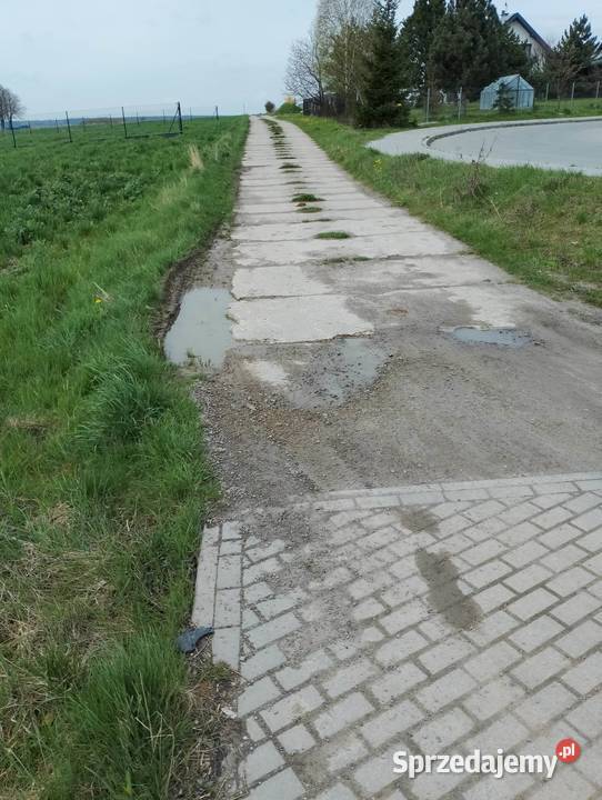 Sprzedam tanio dzialke w okolicy Żabia Wola