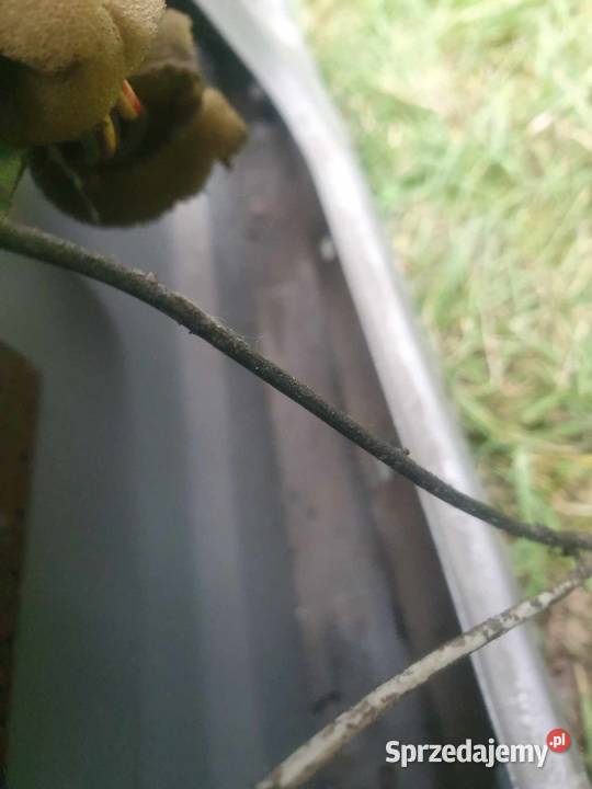 Klapa bagażnika Volvo 850 kombi 13011 bez szyby