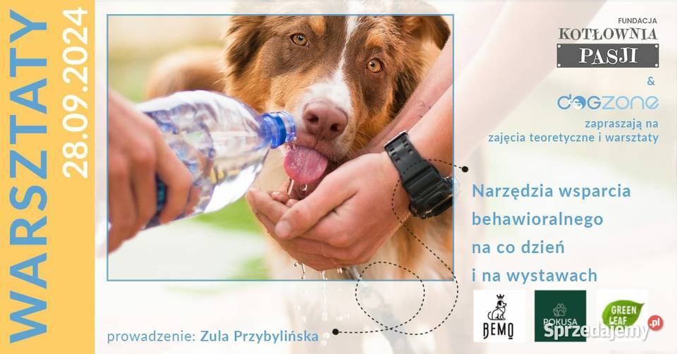 Szkolenie groomerów OWCZAREK AUSTRALIJSKI MAS