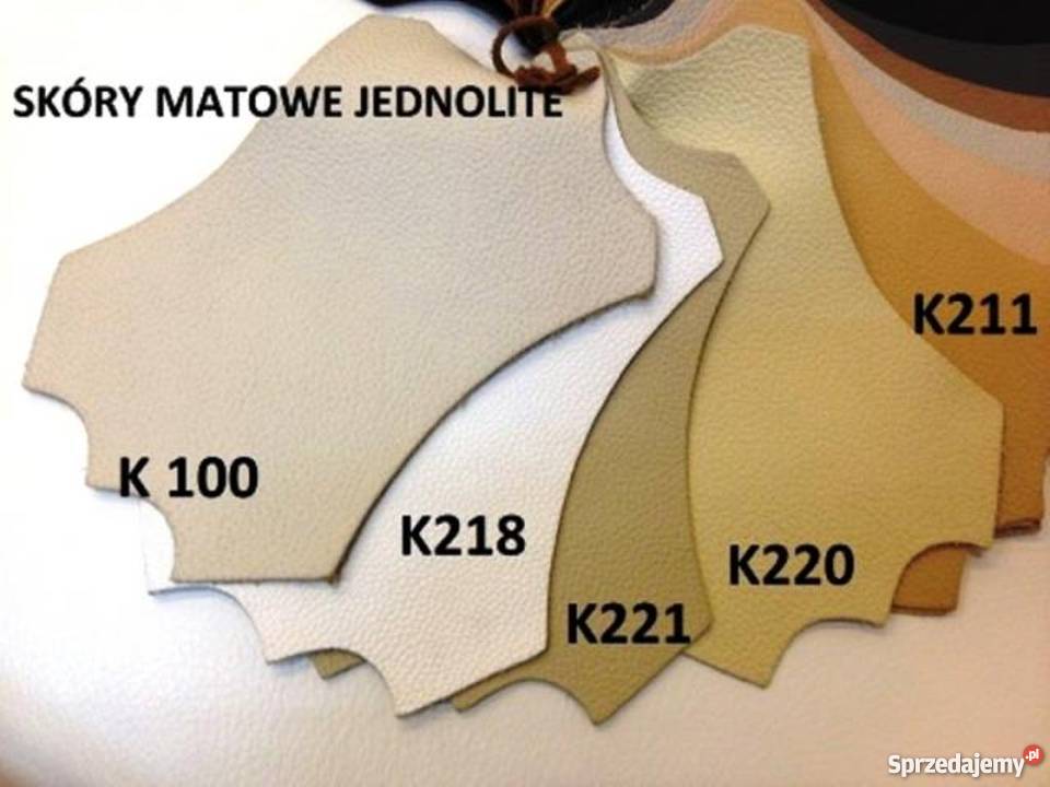 Meble wypoczynkowe skórzane Modena Plus311w Komplety wypoczynkowe wielkopolskie Poznań