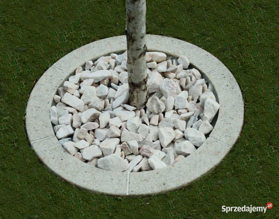 Obrzeże trawnikowe do drzew śr 50 Dębica