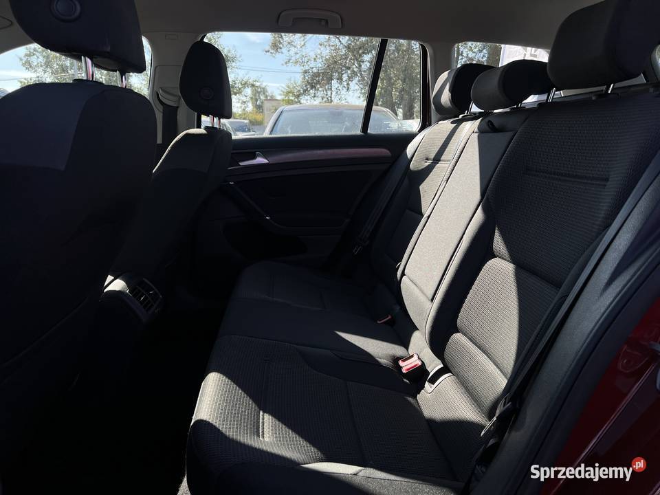 Volkswagen Golf 2020 nieuszkodzony Golf mazowieckie Warszawa