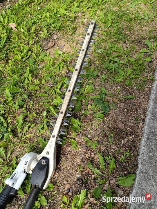 Kosa spalinowa do żywopłotu STIHL Nysa