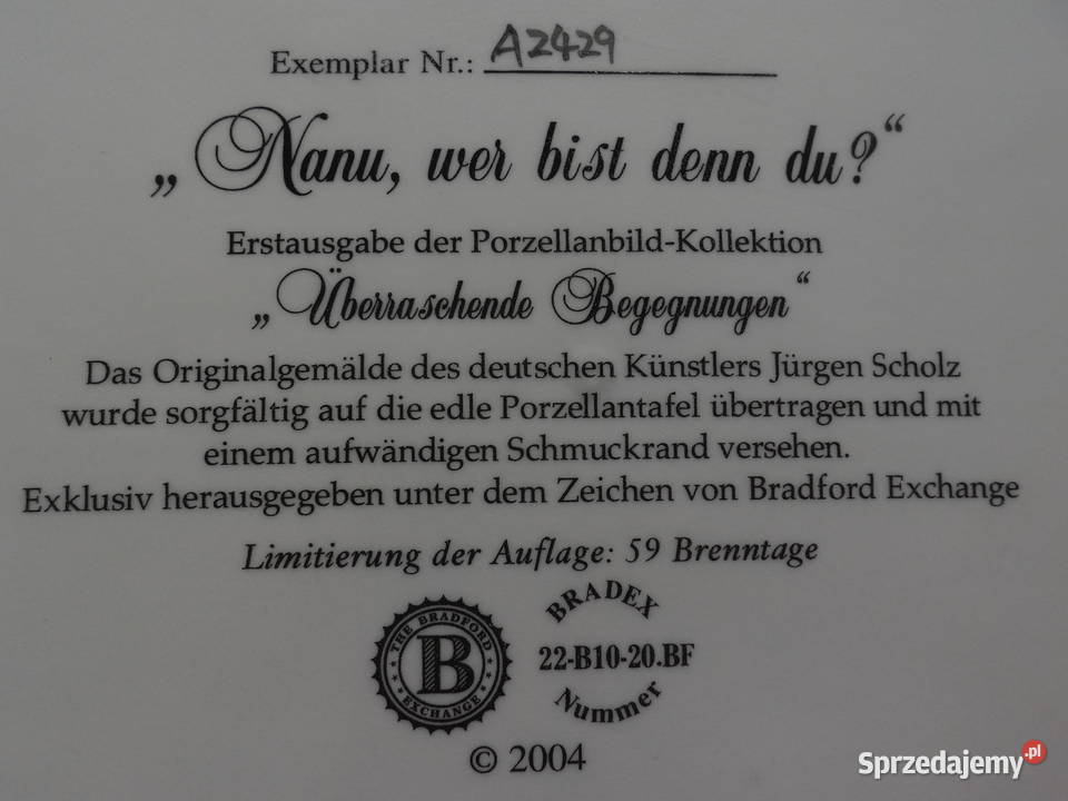Obraz na porcelanie kot pies Bradford autor J wielkopolskie sprzedam