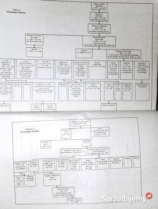 Czerwone tarcze Jarosław Iwaszkiewicz Chełm