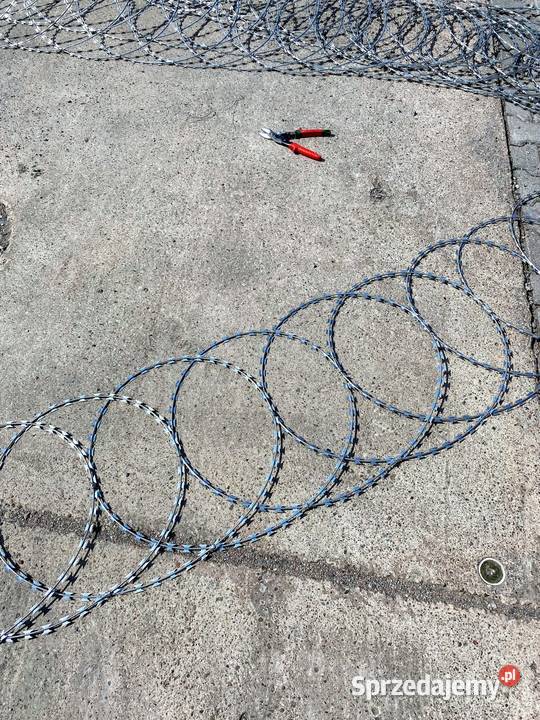 Zasieki płaskie z drutu ostrzowego 500 mm Szczecin