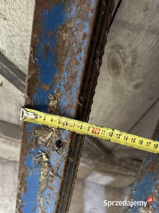 Cep Bębna Bizon ZO5658 leweprawe mazowieckie Zwoleń