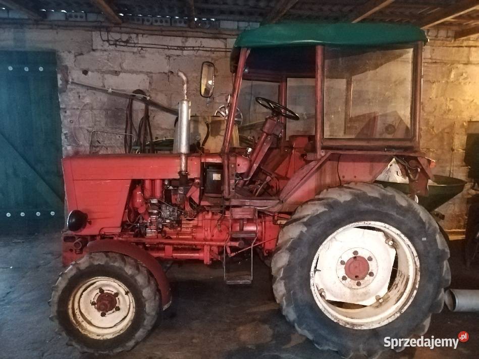 Władimirec T25 Rusek Brodnica