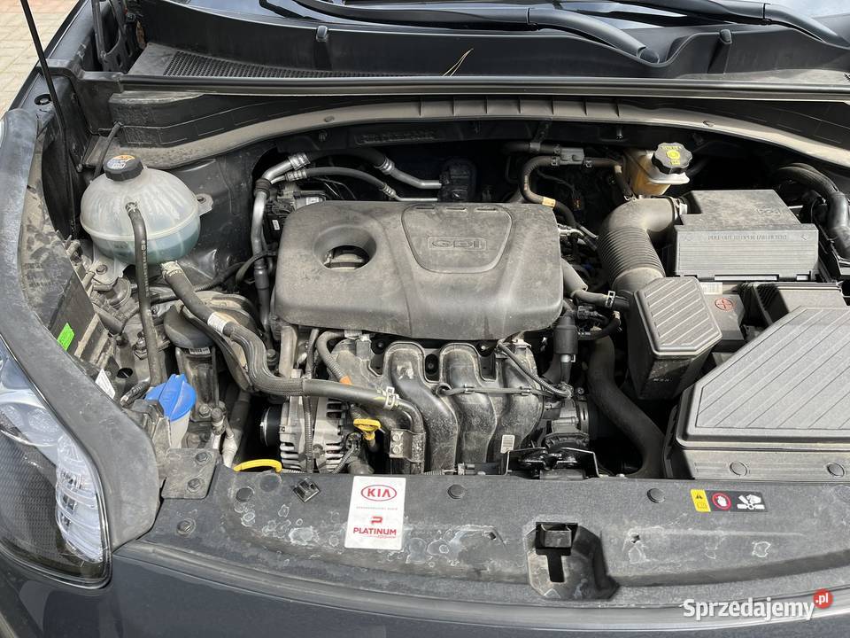 Kia Sportage 16 GDI 32815 serwis w ASO polski Luboń