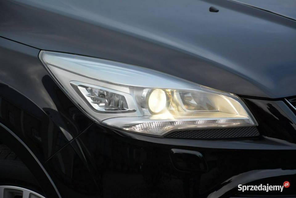 Ford Kuga Individual Skóry Bixenon Sony Ledy SUV Kuga mazowieckie Ostrów Mazowiecka