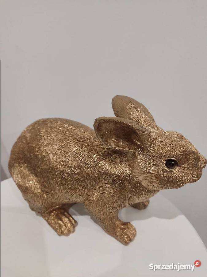 KRÓLIK ZŁOTY podkarpackie Straszęcin