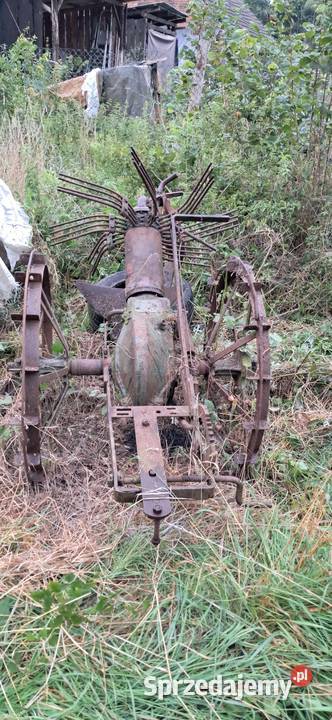 Kopaczka konna lubuskie Maszewo sprzedam