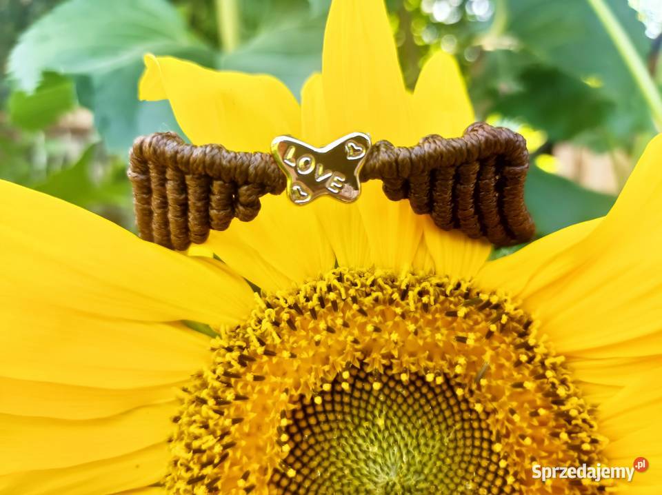 Bransoletki skrzydła Bukowina Tatrzańska