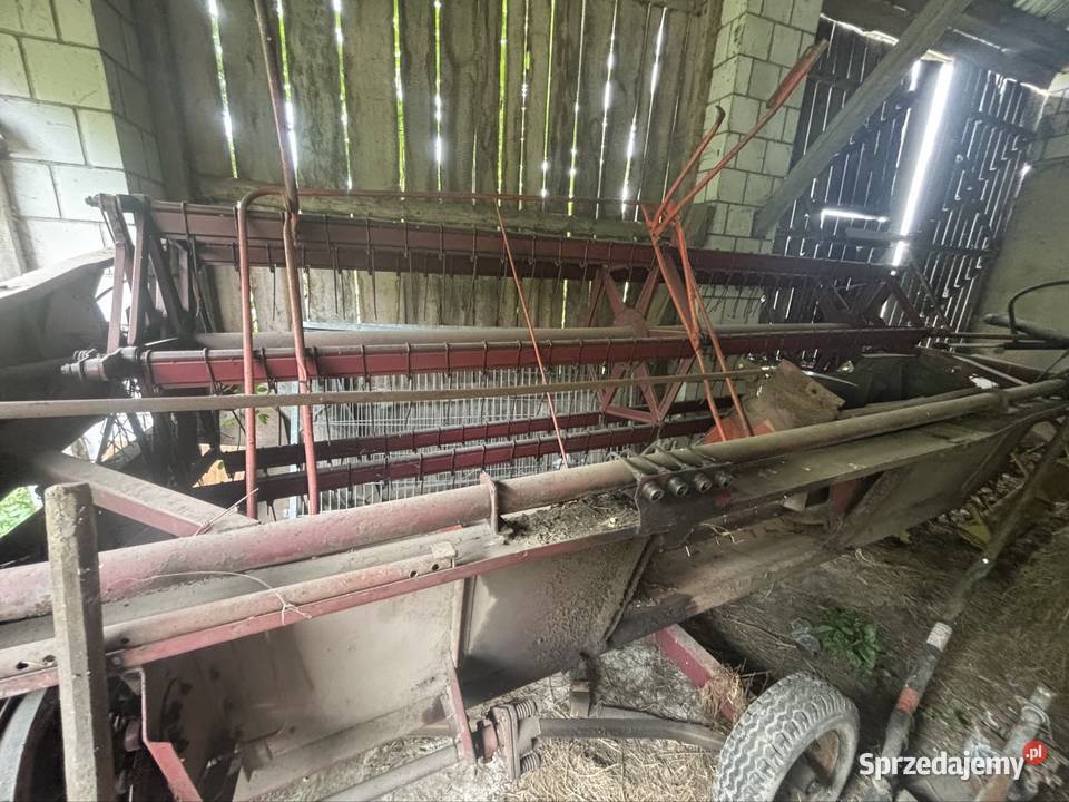 Kobajn bizon z56 Zamość sprzedam