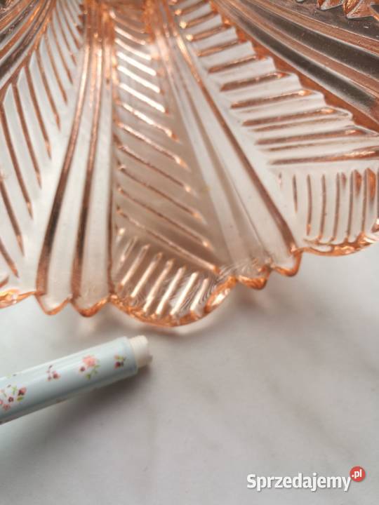 Wazoniki Ząbkowice różowe Choszczno