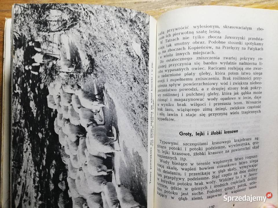 Tatry Konstanty Stecki miękka Kultura i Rozrywka Kraków