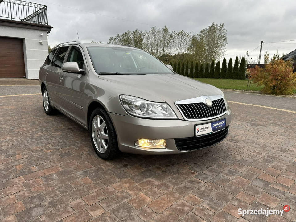 koda Octavia SKODA Octavia C II 20042013 Octavia Lipówki