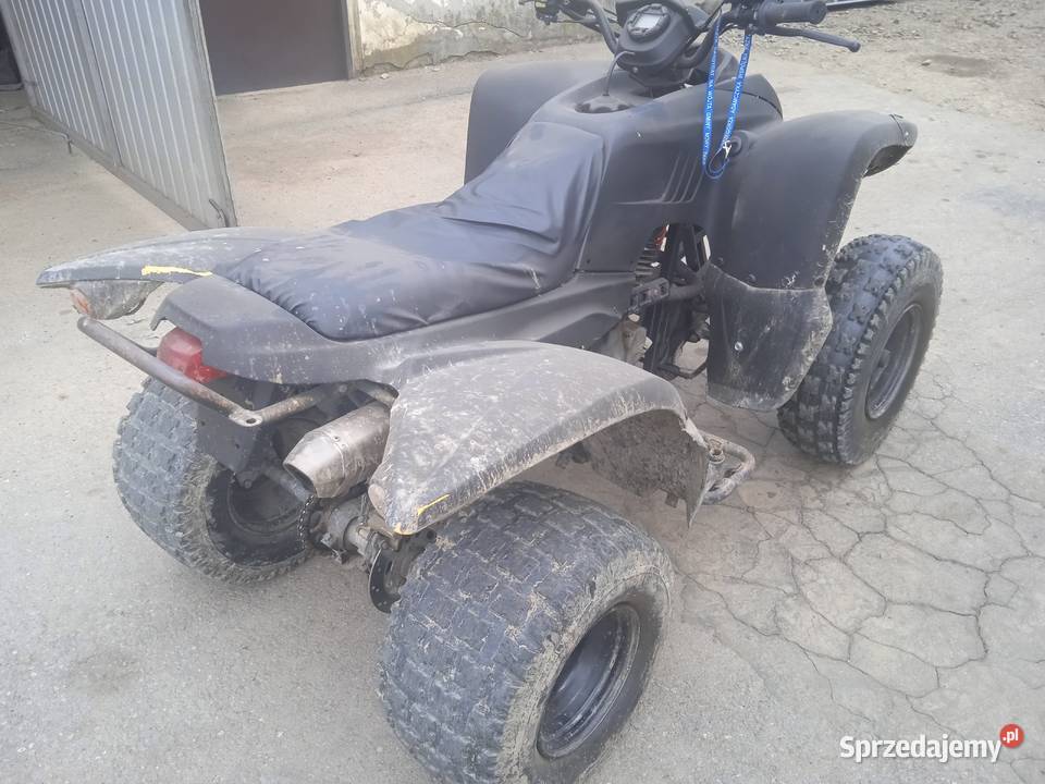 Quad adly 300 quad - ATV Sękowa