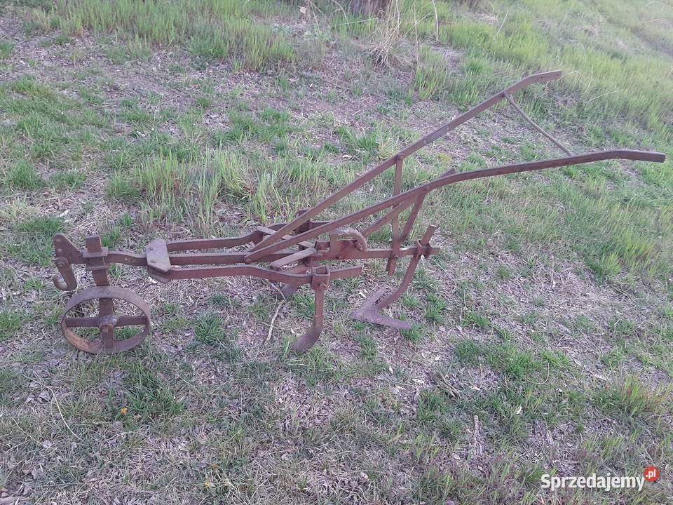 Pielnikobsypnik konny