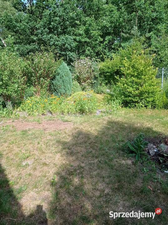 Sprzedam działkę ROD Chobot mazowieckie Warszawa