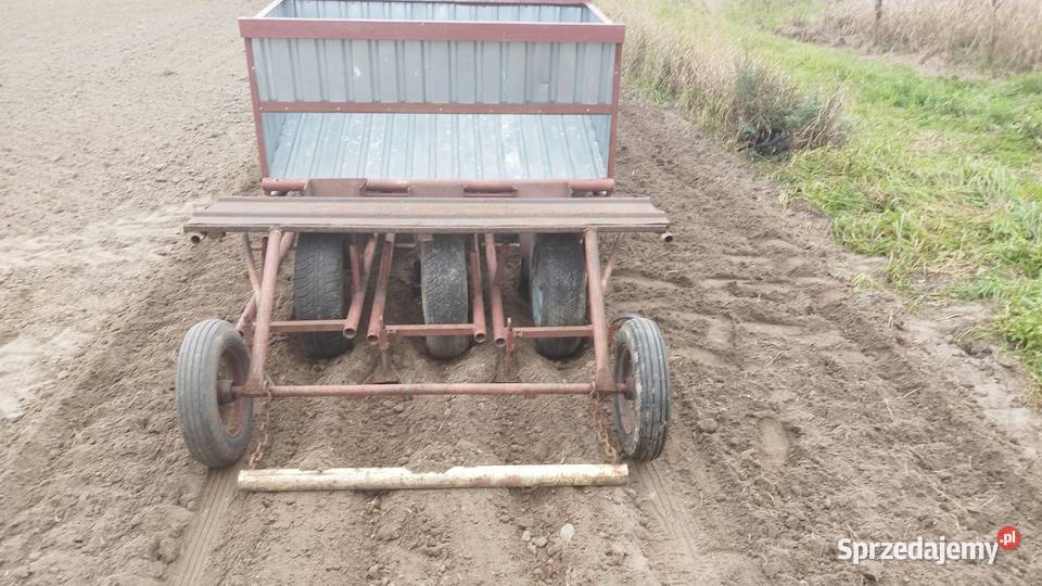 Sadzarka do mięty sprzedam