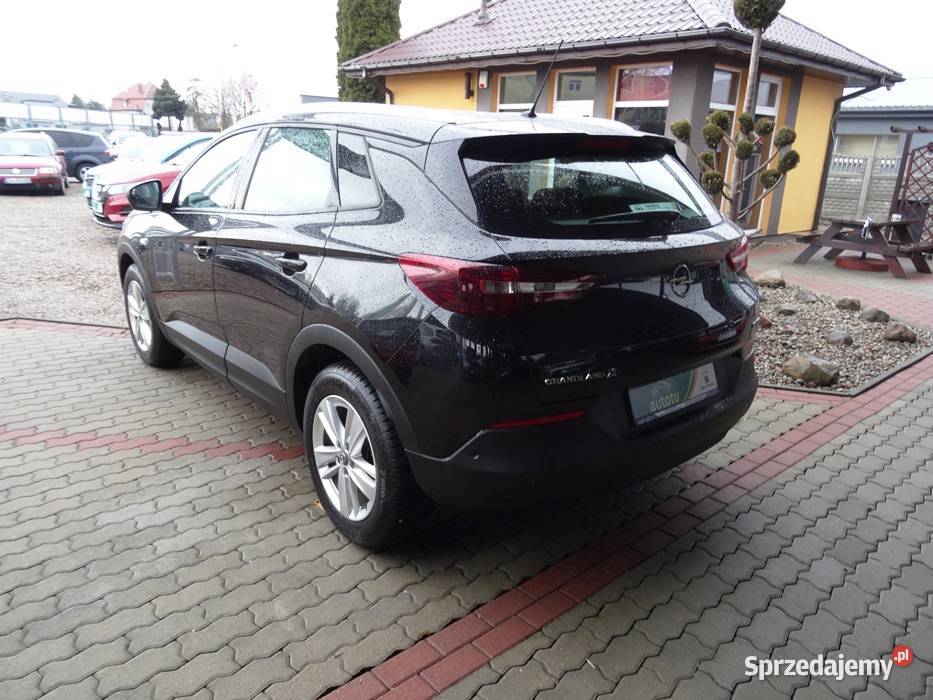 OPEL GRANDLAND X Rok produkcji 2020 Goleniów sprzedam