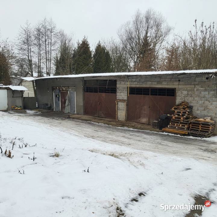 Sprzedam nieruchomość w miejscowości Prusy koł