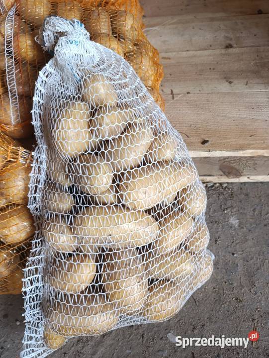 Ziemniaki jadalne Queen Anna Vineta Pozostałe