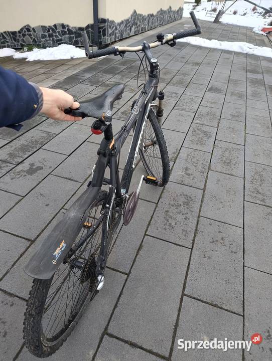 Rower Bianchi DOSS 4600 26 Shimano w pełni Pleśna
