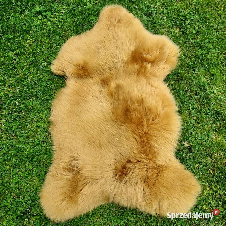 Skóra Owcza Naturalna Kolor Musztardowy Skóry Szaflary sprzedam