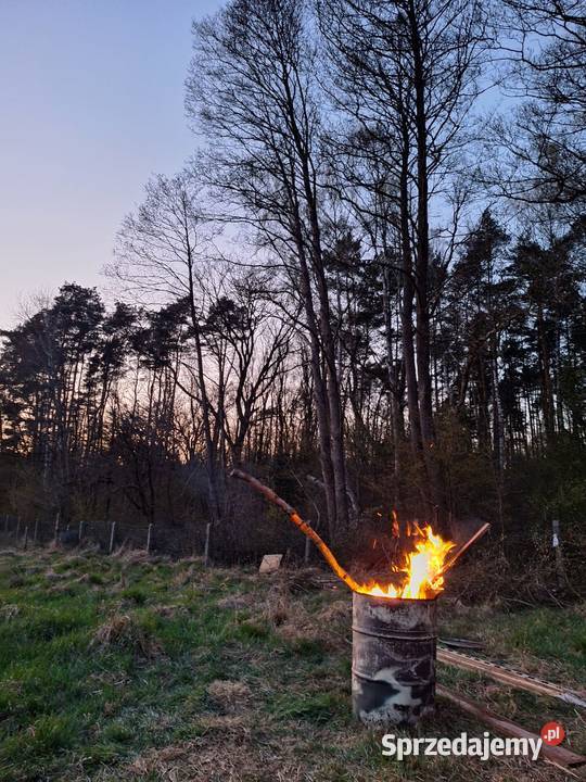 Sprzedam przepiękną działkę pod lasem Sprzedaż Goleniów