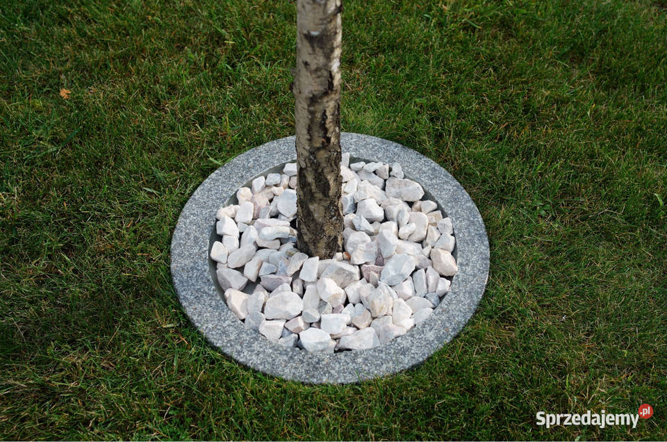 Obrzeże trawnikowe pod drzewa I krzew śr 50 Dębica
