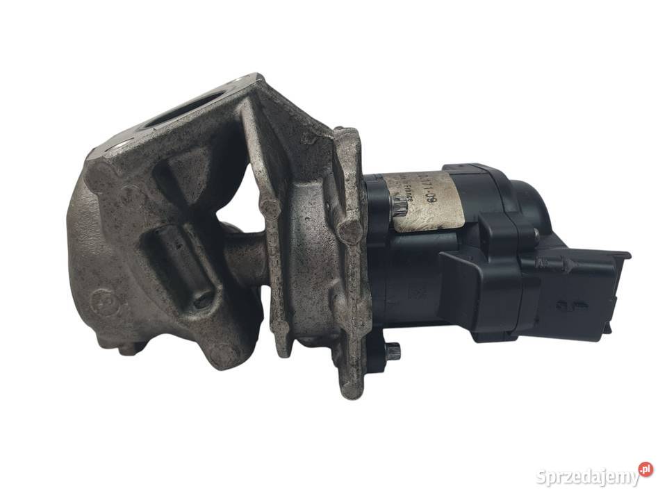 ZAWÓR EGR Citroen C4 Peugeot 307 Ford Focus 16 Chełm