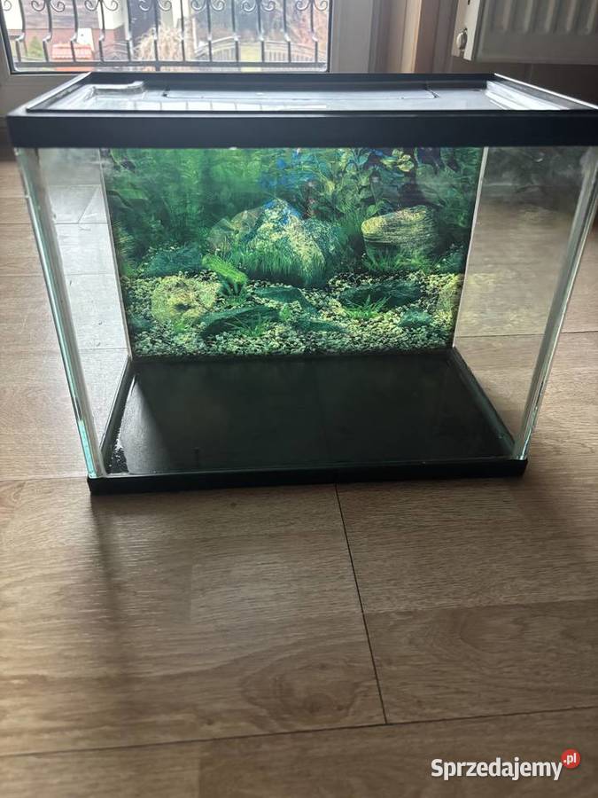 Akwarium sprzedam