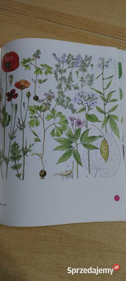 Świat roślin skał i minerałów Lublin