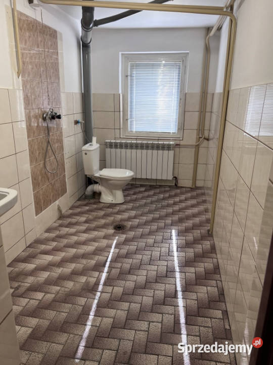 Sprzedaż domu Liczba pokoi 4 Solec sprzedam