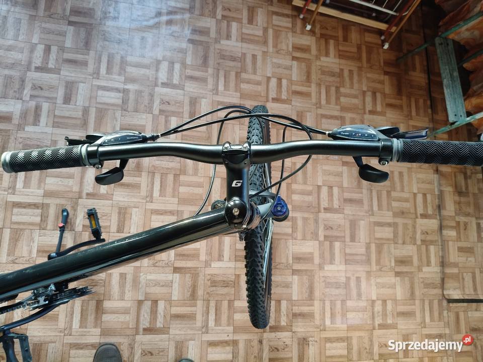 rower górski Goetze Define 29 rama alu 17 Górskie, MTB Poznań sprzedam