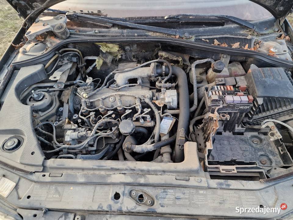 Sprzedam renault lagune w całości na części Samochody na części dolnośląskie Czarny Bór sprzedam